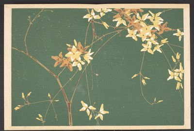 Shasei sôka môyô, Muster von Pflanzen und Blumen aus dem Leben von Furuya Korin
