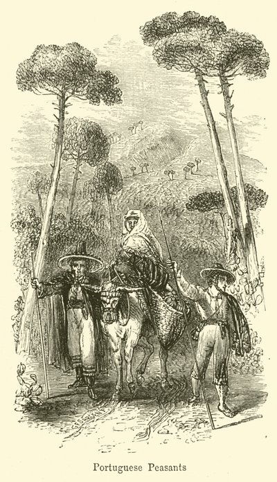 Portugiesische Bauern von G. F. Sargent