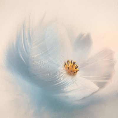 Träumige Blumenfeder von Gaille Gray