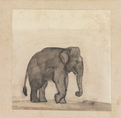 Elefant von Gangaram Chintaman Tambat
