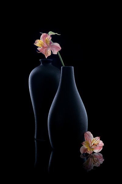 Elegante Alstroemeria-Vasen von GaoSL