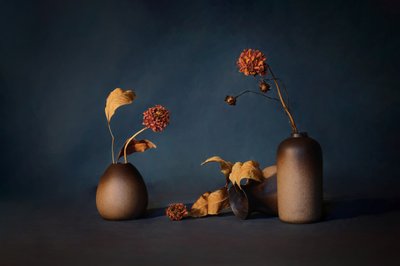 Stimmungsvolle Getrocknete Blumen von GaoSL
