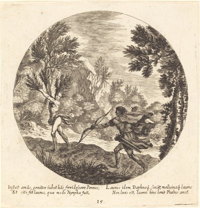 Daphne wird zu einem Lorbeer von Georg Andreas Wolfgang the Elder
