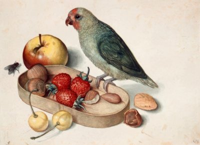 Stilleben mit Zwergpapagei von Georg Flegel