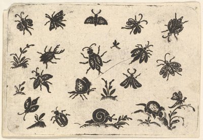 Kleine Motive von Insekten und Pflanzen von Georg Herman