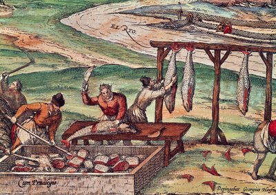 Thunfischverarbeitung, Miniatur aus Civitates Orbis Terrarum von Georg Braun and Hogenberg Franz