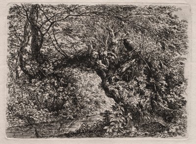 Die alte Weide an einem Bach von Georg von Dillis