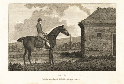 Porträt des Vollblut-Rennpferdes Otho von George (after) Stubbs