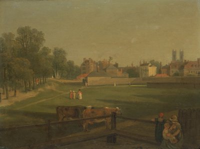 Ein westlicher Blick auf einen Teil von Westminster und Bird Cage Walk, von Mill House von George Arnald