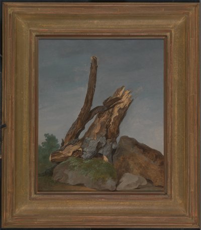 Studie von Felsen und Ästen von George Augustus Wallis
