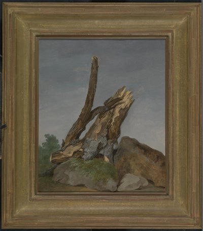 Studie von Felsen und Ästen, ca. 1795 von George Augustus Wallis