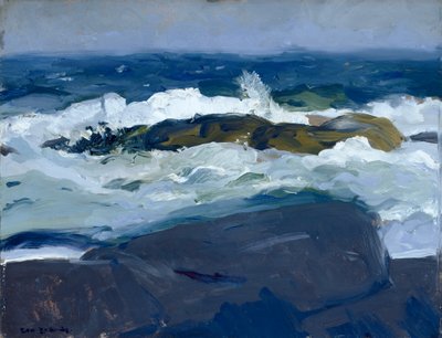 Felsriff, Maine von George Bellows
