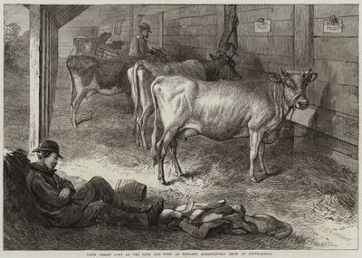 Preisgekrönte Jersey-Kühe auf der Bath und West of England Landwirtschaftsausstellung in Southampton von George Bouverie Goddard