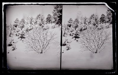 Prospect Park, Brooklyn, ca. 1872-87 von George Bradford Brainerd