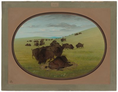 Eine Büffelwand von George Catlin
