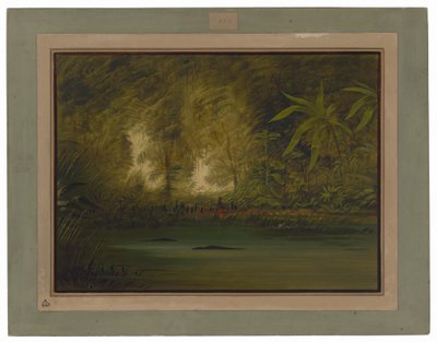 Eine Lagune des oberen Amazonas von George Catlin