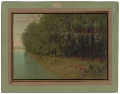 Ein Amazonaswald - Blick an Land von George Catlin