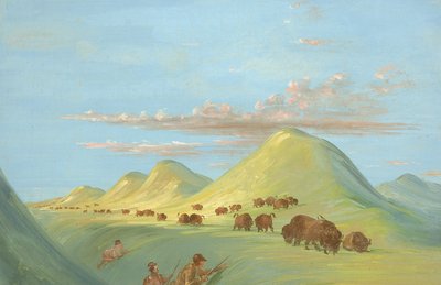 Batiste, Bogard und ich nähern uns Büffeln am Missouri von George Catlin
