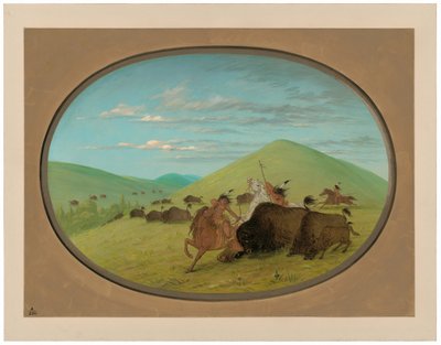 Büffeljagd - Bullen schützen die Kälber von George Catlin