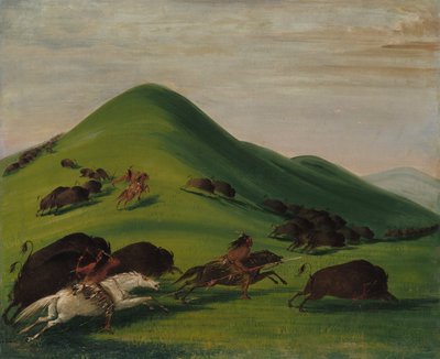 Büffeljagd über Präriebluffs von George Catlin