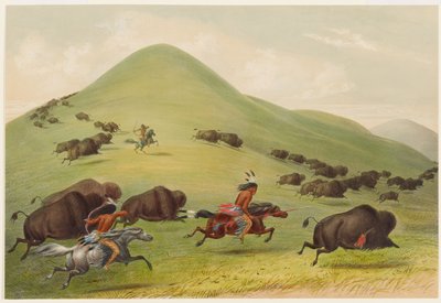 Büffeljagd: Die Verfolgung von George Catlin