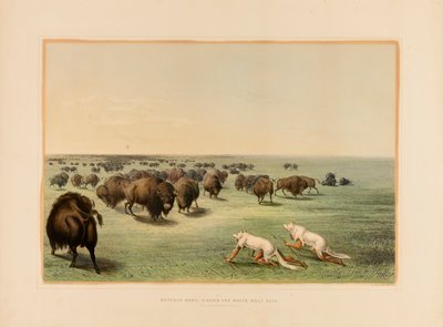 Büffeljagd, unter dem weißen Wolfspelz--Nr. 13 von George Catlin