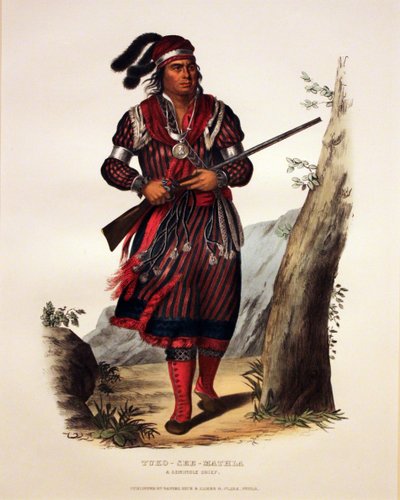 Seminole-Häuptling Tuko-See-Mathla von George Catlin