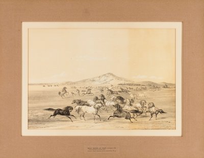Wilde Pferde beim Spielen--Nr. 3 von George Catlin