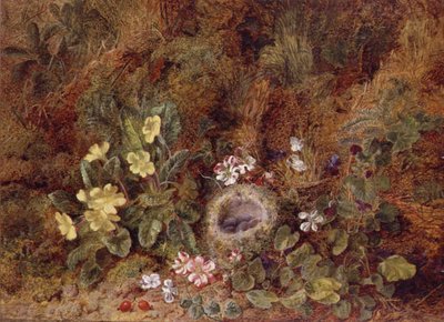 Stillleben mit Vogelnest und Wildblumen von George Clare