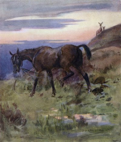 Illustration für 
