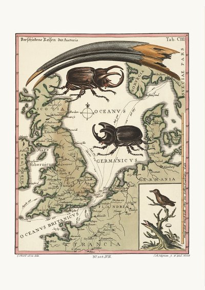 Der Schnabel des ägyptischen Ibis und der kleinste Kolibri, 1749-73 von George Edwards