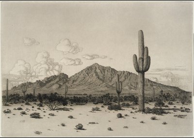 Camelback Mountain, Phoenix von George Elbert Burr
