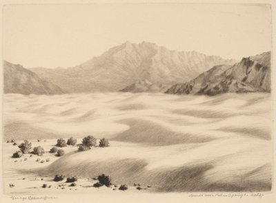Dünen bei Palm Springs, Kalifornien (Nr. 2) von George Elbert Burr