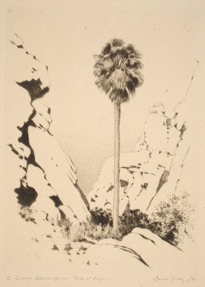 Palm Canyon (Nr. 1) von George Elbert Burr