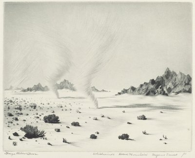 Wirbelwinde, tote Berge, Mojave-Wüste, Kalifornien von George Elbert Burr