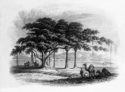Runjeet Singhs Lager bei Roopur, am Fluss Sutlej, 1838 von George Francis White