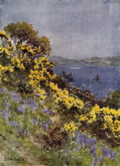 Die Ufer des Fal, Falmouth von George Franck Nicholls