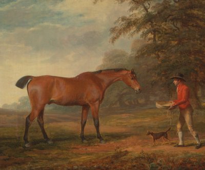 Ein braunes Pferd wird von einem Stallburschen mit Futter und Halfter angesprochen von George Garrard