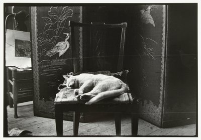 Katze auf einem Stuhl im Atelier von Breitner in Amsterdam von George Hendrik Breitner