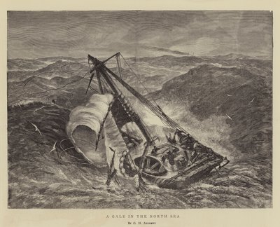 Ein Sturm in der Nordsee von George Henry Andrews