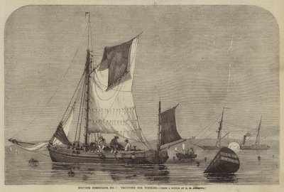 Britische Fischereien, Nr. 7, Whelks fangen von George Henry Andrews