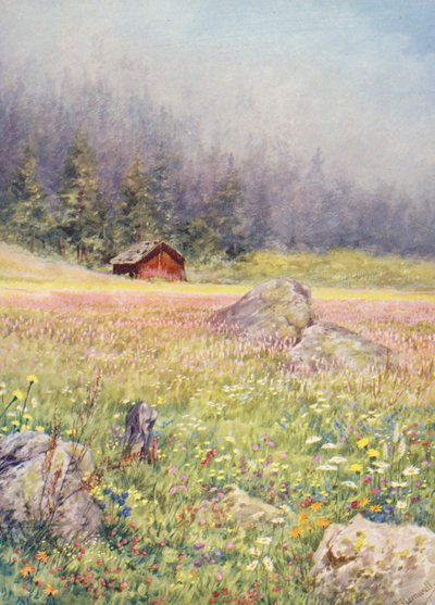 In den Feldern von Champex Anfang Juli von George Jackson Flemwell