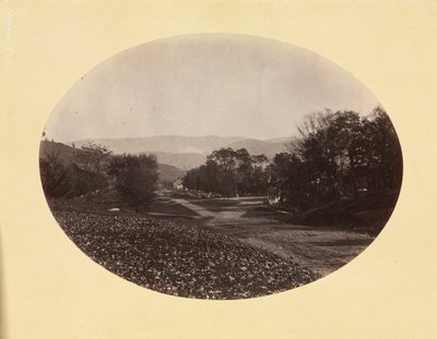 Eine Straße in Williamstown von George Kendall Warren