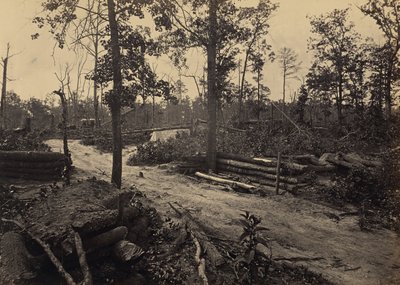  von George N. Barnard