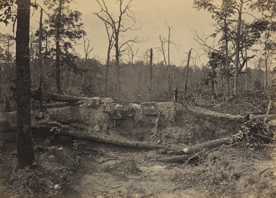 Schlachtfeld von New Hope Church, Georgia, Nr. 2 von George N. Barnard