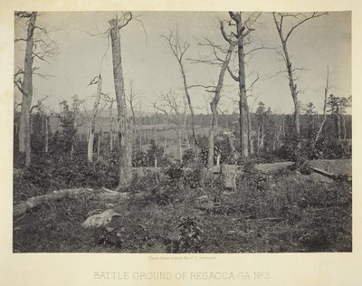 Schlachtfeld von Resacca, GA, Nr. 3, 1866 von George N. Barnard