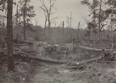Schlachtfeld von New Hope Church, Georgia, Nr. 2, 1865-1866 von George N. Barnard