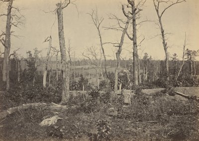 Schlachtfeld von Resaca, Georgia, Nr. 3, 1864 von George N. Barnard