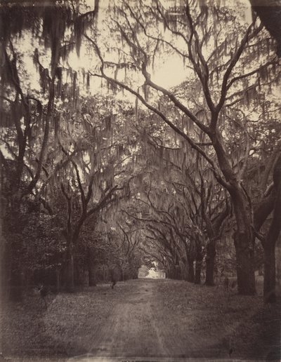  von George N. Barnard