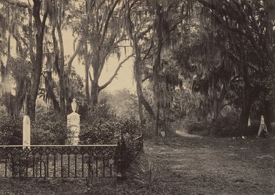 Buen-Ventura, Savannah, Georgia von George N. Barnard